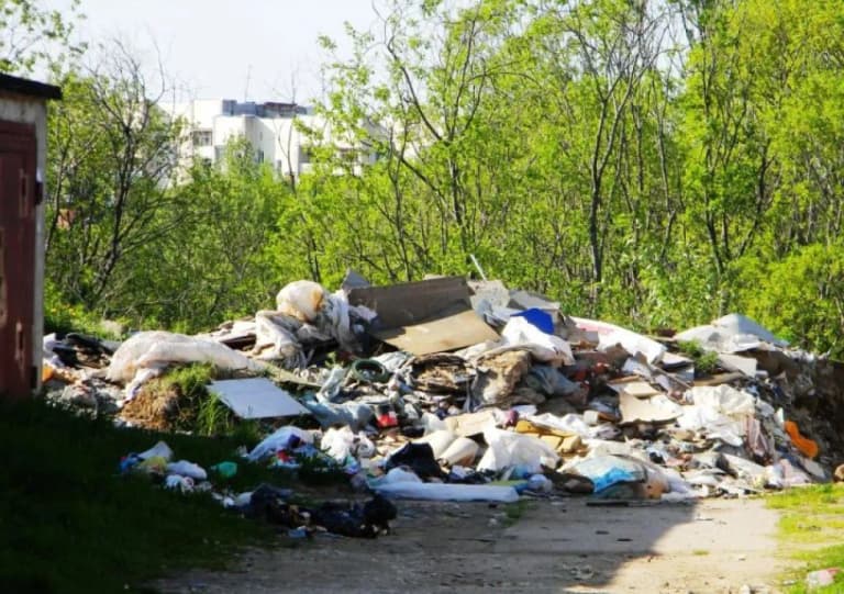 Өзбекстанда экологиялық қылмыстар көбейіп жатыр