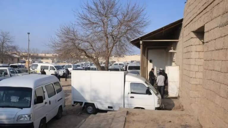 Hundreds of Damas and Labos detained after Damas escapes after beating 15-year-old boy in Bukhara