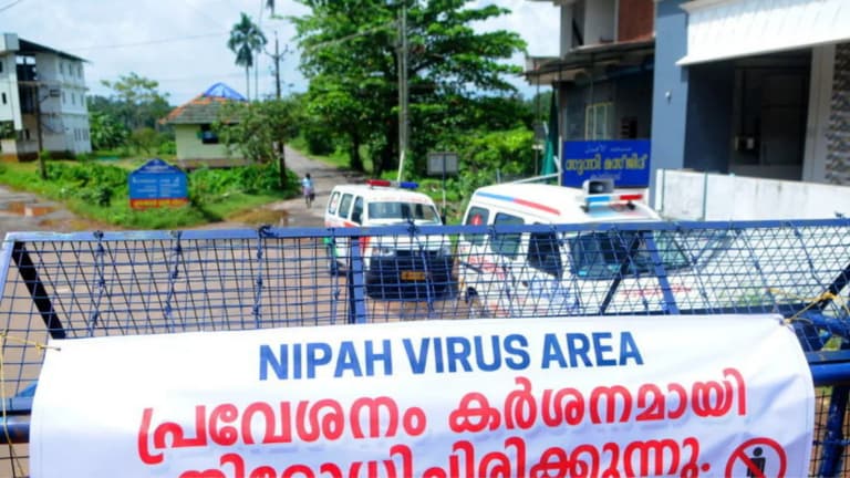 Nipah virüsü: Hindistan'da karantina önlemleri güçlendirildi