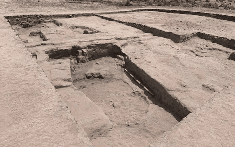 Huellas quirúrgicas misteriosas de 4.000 años halladas en Uzbekistán