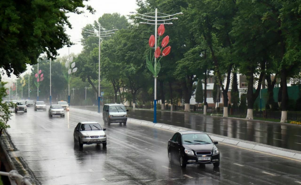 Meteorologlar Markaziy Osiyoda anomal seryog‘in yoz bo‘lishini aytishmoqda...