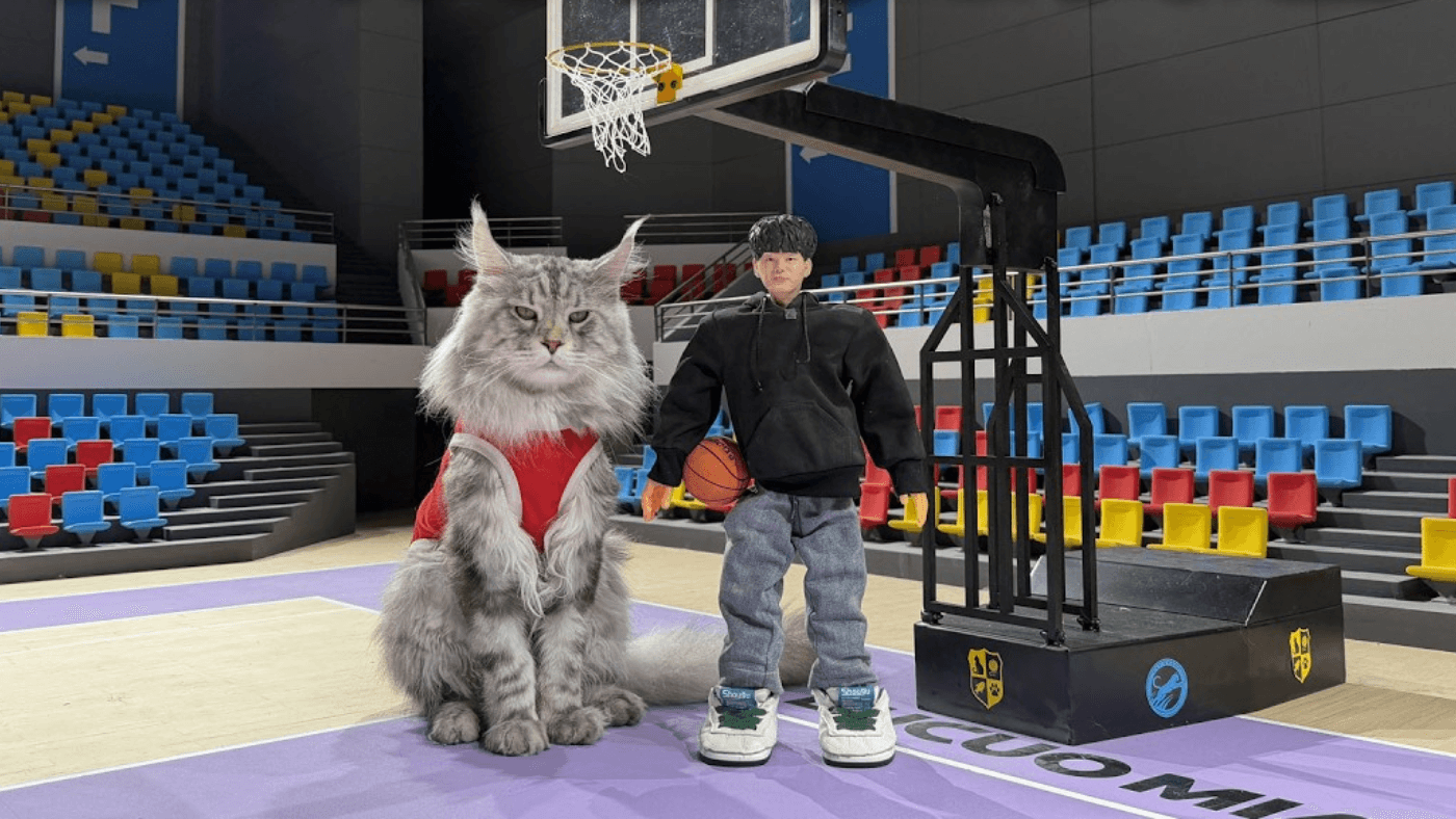 Un blogueur chinois construit un terrain de basket pour ses chats