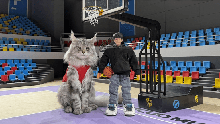 Chinesischer Blogger baut Basketballplatz für seine Katzen