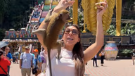 Affen 'belagern' Chechenka in Malaysia (Video)