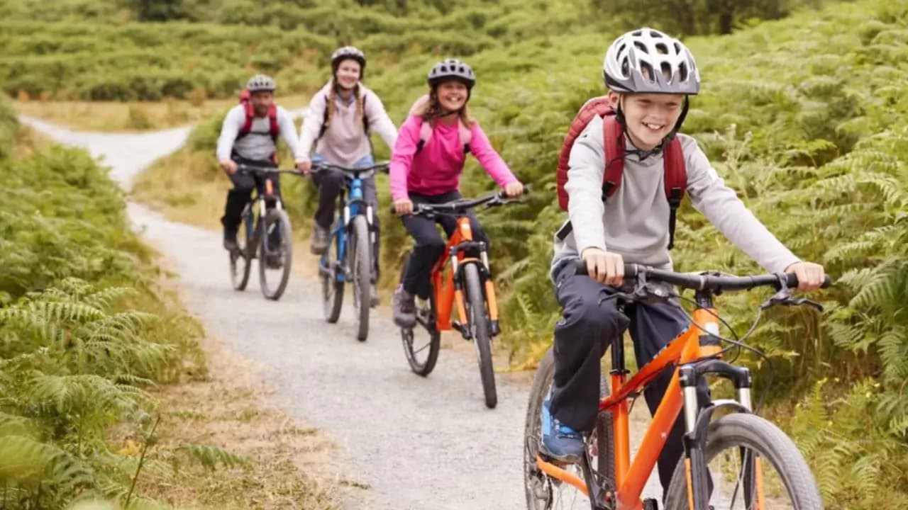 Bicycle – the simplest path to a healthy life