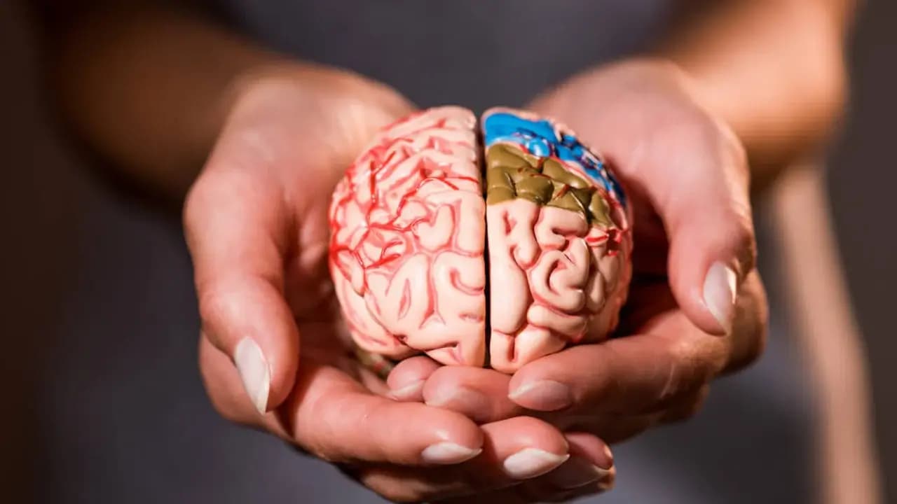 Does beauty conserve brain energy?