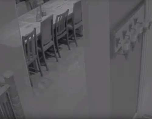 Шумтака арвоҳ паб ходимларига тинчлик бермаяпти