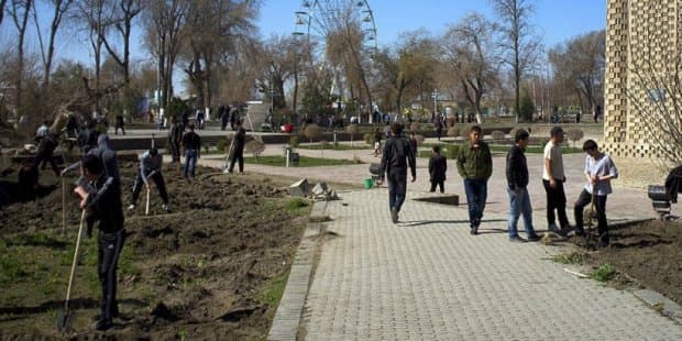 Афандининг тарвузи ёки камчиликни нега яширамиз?