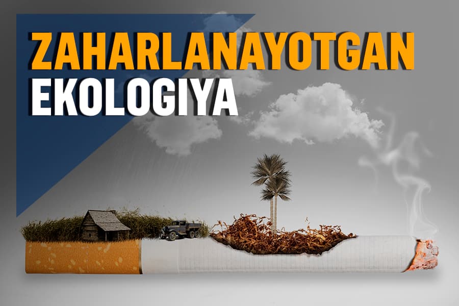 Atrof-muhitni zaharlayotgan chekuvchilarning zararlari haqida faktlar