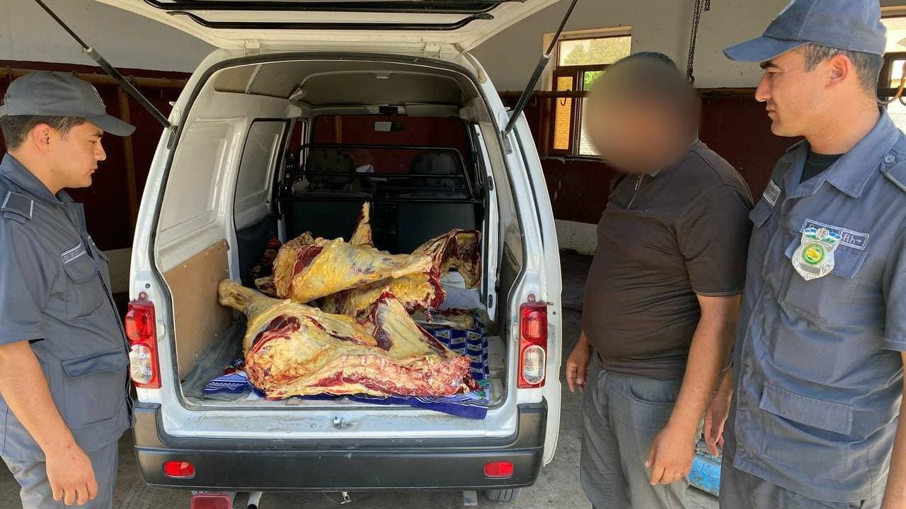 Buxoroda iste’molga yaroqsiz go‘sht mahsulotlarini saqlab kelganlar qo‘lga tushdi