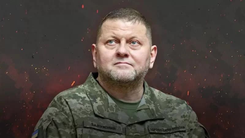 Mashhurlikda Zelenskiy bilan bellashadi. Zalujniy bunga qanday erishdi?