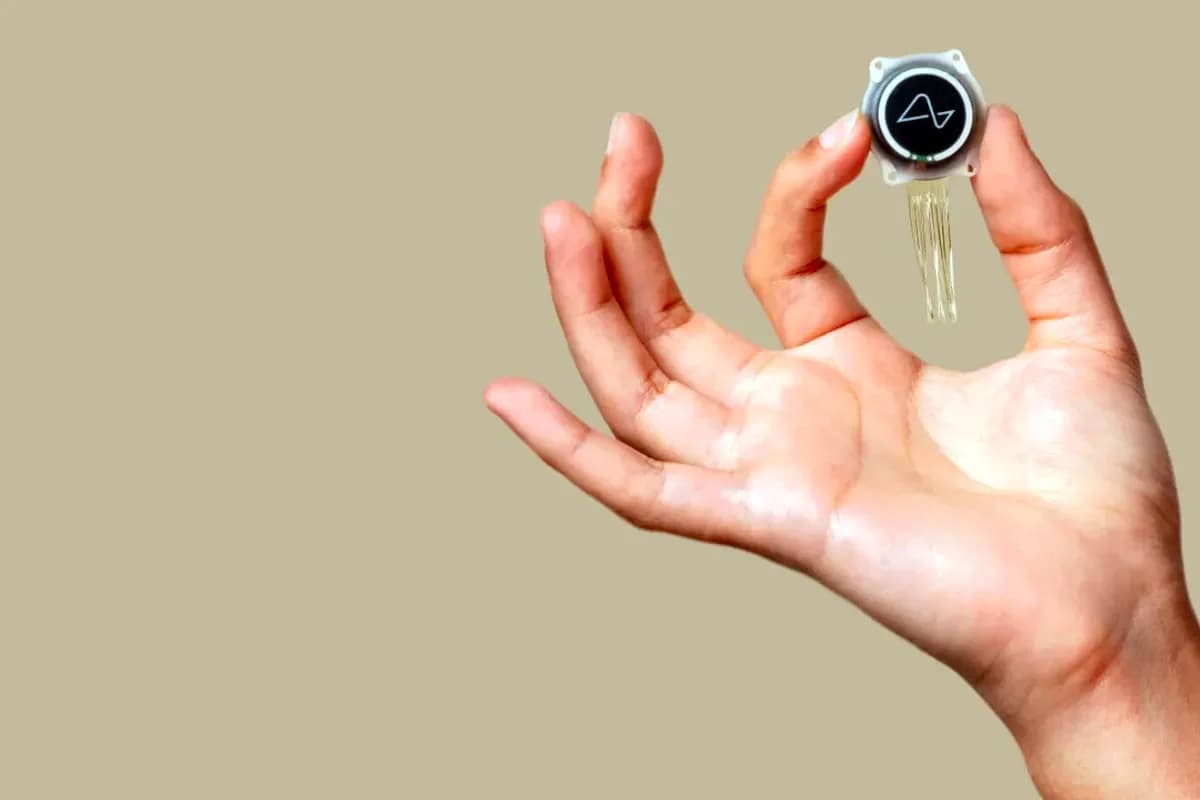 Ilon Mask miyasiga Neuralink chipini o‘rnatishga rozi odamlarni izlamoqda