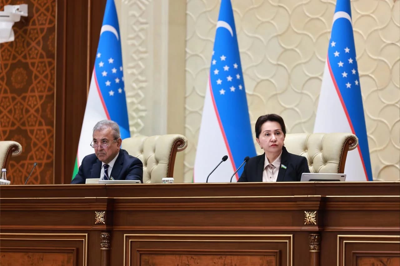 Senat: Aviachipta sotishda eskirgan byurokratik usullar hamon saqlanib qolmoqda