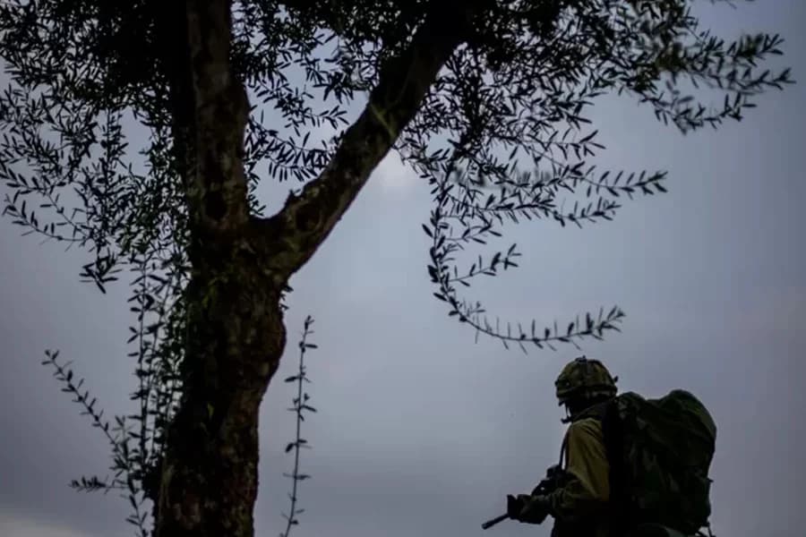 Isroil va HAMAS mojarosi Rossiya-Ukraina urushiga qanday ta’sir o‘tkazmoqda?