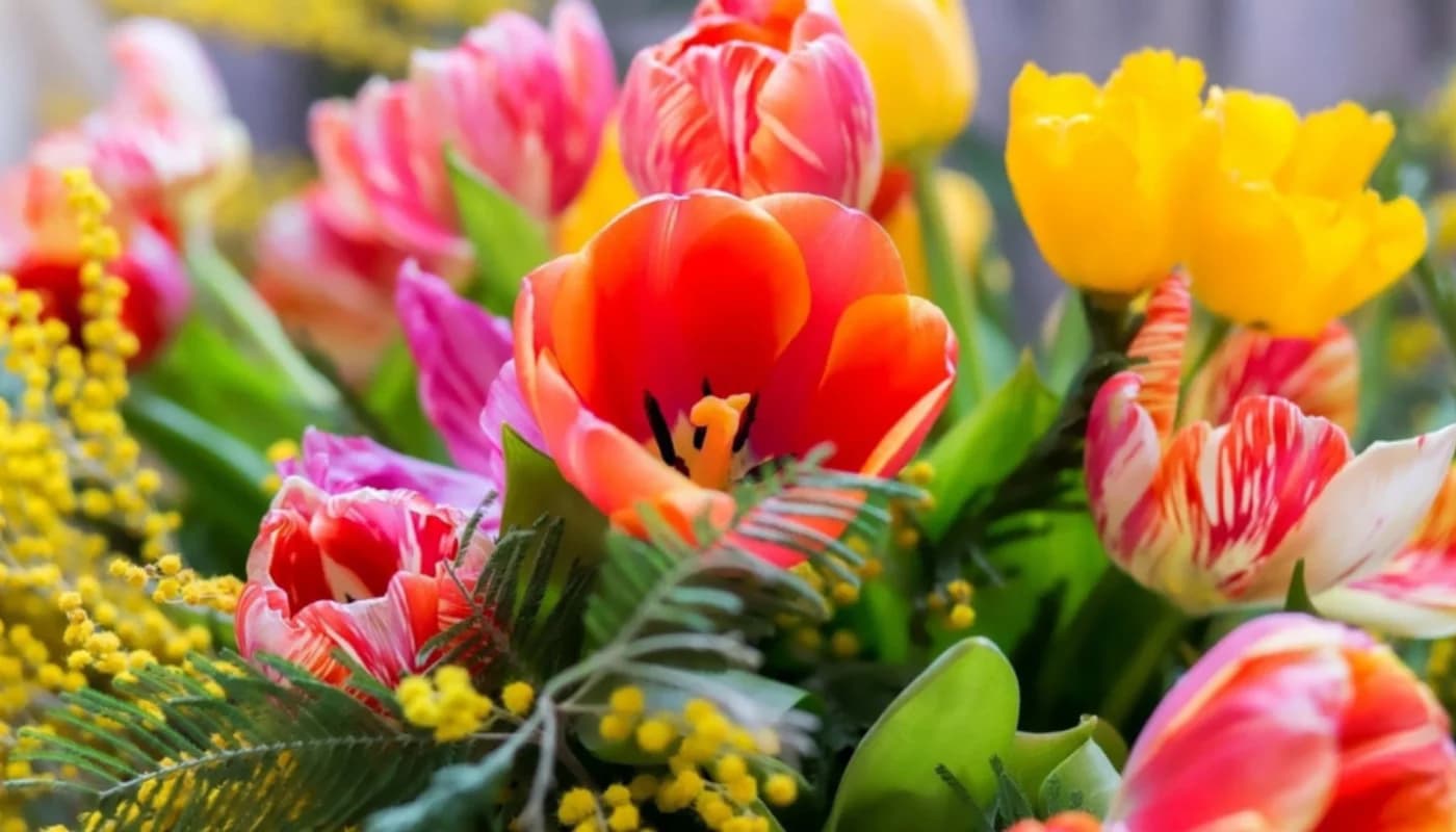 Do you know the symbolic meaning of the flower you are giving to your loved one?