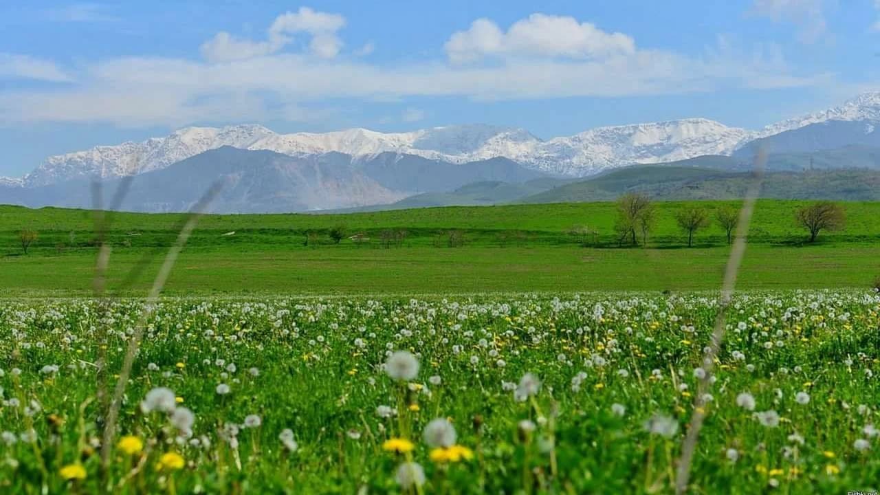 Синоптики опубликовали прогноз погоды на неделю
