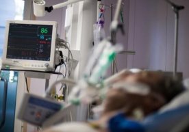Kuchsiz genlar: nega semizlik va qon bosimiga ega insonlarda koronavirus infeksiyasi og‘ir shaklda o‘tadi? фото