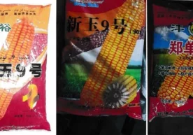 Давлат божхона қўмитаси ахборот хизмати божхона органлари