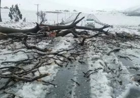 Жанубий Африка Республикасида (ЖАР) ҳукм сураётган оғир
