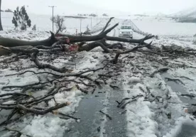 Жанубий Африка Республикасида (ЖАР) ҳукм сураётган оғир