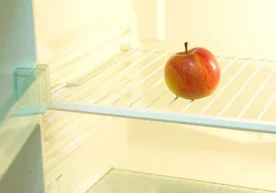 Гарвард тиббиёт мактаби олимлари оч қолишнинг яна бир