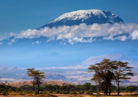 Фото: Фотолиа АШҚда яшовчи Энн Лоримор 89 ёшида Африкадаги