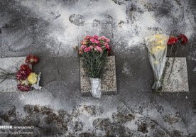 Фото: «Imp-navigator.livejournal.com» Эронда пандемия