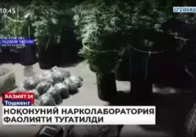 Toshkent shahri Bektemir tumanida noqonuniy