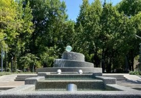 28 август куни Ўзбекистоннинг турли ҳудудларида