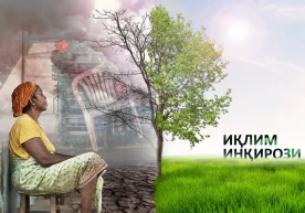 Олимлар Испанияда аномал иссиқликдан тўққиз ой ўтгач,