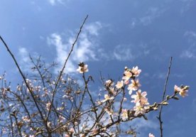 Ertaga, 27 aprel kuni Oʻzbekiston hududlarining katta