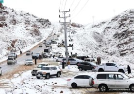 Саудия Арабистонида қор ёғди (фото, видео) фото