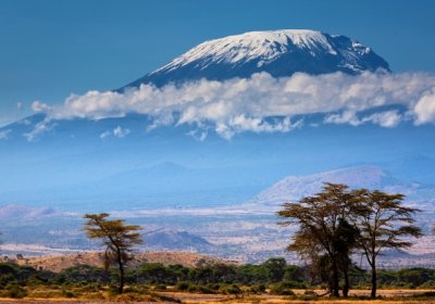 Amerikalik 89 yoshli ayol Kilimanjaro cho‘qqisiga ko‘tarildi фото