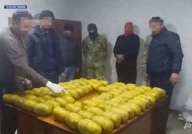 Ўзбекистон ҳукумати ноқонуний наркотик айланмасига қарши