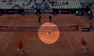 Теннисни хуш кўрувчи мушук турнирни тўхтатди (видео) фото