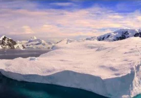 Гренландия қирғоқларида олимлар ғаройиб манзарага дуч