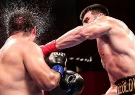Жаҳон чемпионати совриндори, бугунги кунда профессионал