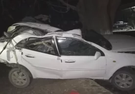 Фото: Видеодан кадр Сурхондарё вилояти Узун туманида