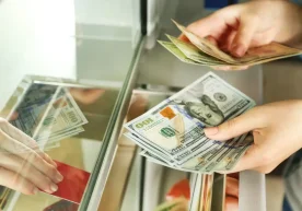 Özbekistan'da bankalardaki döviz işlemleri prosedürü