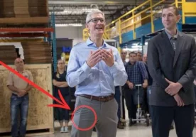 24 август куни Apple раҳбари Тим Кук корпорациянинг