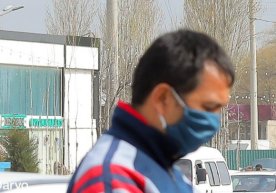 Buxoroda koronavirusga chalinganlar 388 nafarga yetdi. Bemorlar orasida yuk avtomobili haydovchilari bor фото