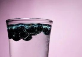 Фото: «Pixabay» Aмерикалик олимлар черника ва ундан