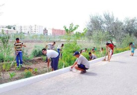 Qaysi hududlarda hashar o‘tkazish mumkin emas? фото