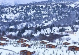 Тошкент вилоятининг тоғли ҳудудларида транспорт