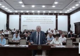 Ўзбекистон Республикаси Олий Мажлиси Сенатининг ялпи