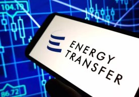 A number of EU countries have initiated the introduction