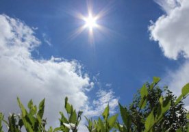 O‘zbekiston bo‘yicha 23 iyun kuni kuzatiladigan ob-havo ma’lumoti фото