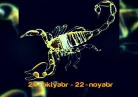 Рамзлари: чаён, бургут, шамдон, эҳром (пирамида).