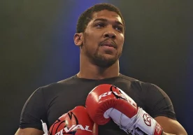UFC раҳбарияти бокс бўйича уч йўналишдаги жаҳон чемпиони