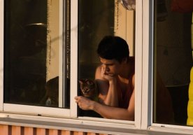 Ehtimol, dunyodagi karantinni 2 yilga uzaytirishga to‘g‘ri kelar — tadqiqot фото